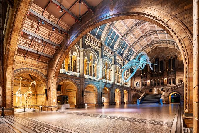 NHM £12m rates ruling throws lifeline to museums
