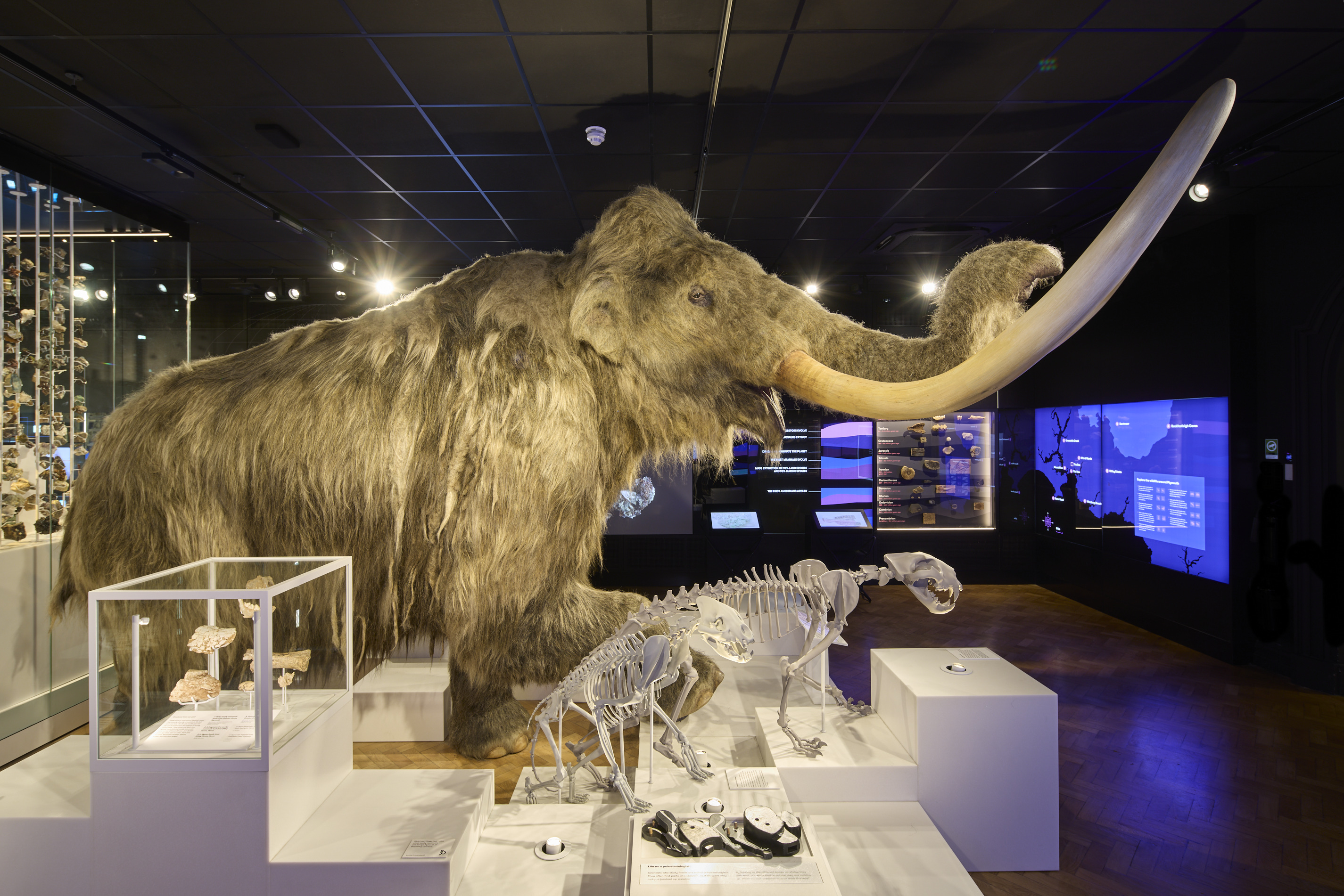 Plymouth’s ‘jewel’ Box wins £120k Museum of the Year prize
