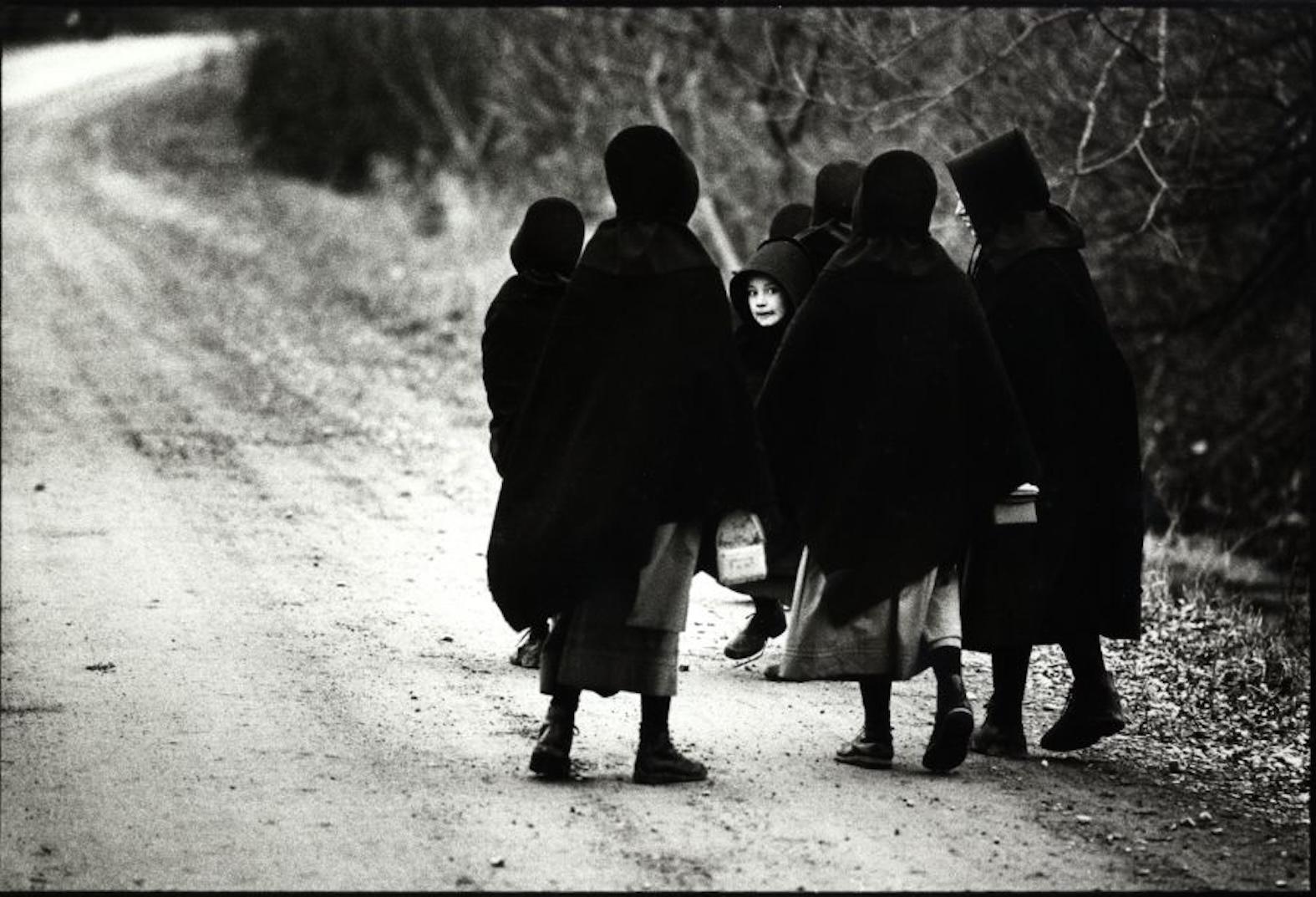 The Art of Photojournalism: Image of the Month